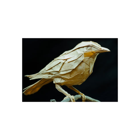 Buy Folded Time Bird Poster