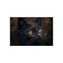 "Buy Galactic Black Cat Poster"