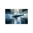 "Buy Glass Whale Poster Online"