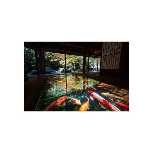 Buy Holographic Koi Pond Posters