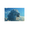 Buy Lion Cloud Poster Online