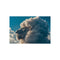 Buy Majestic Lion Cloud Poster