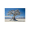 Buy Mechanical Tree Metallic Poster