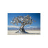 Buy Mechanical Tree Metallic Poster