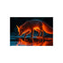 Buy Mystical Glass Fox Poster