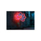 Buy Neon Flower Concrete Art
