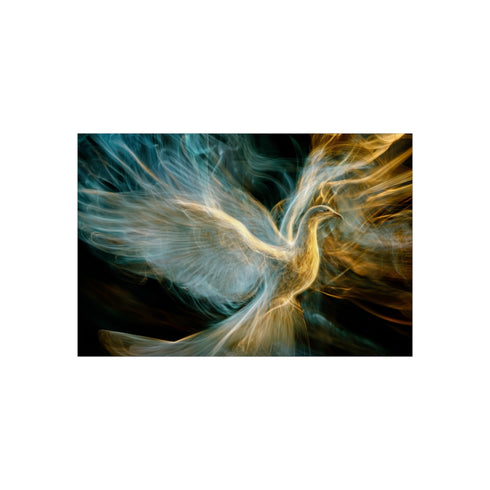 Buy Radio Wave Phoenix Poster