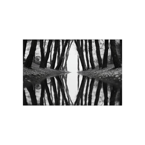 Buy Reversed Reflections Mirror Poster