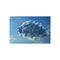 "Buy Stunning Giant Lion Cloud Poster"