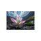 Buy Stunning Giant Lotus Poster
