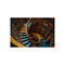 Buy Stunning Infinite Spiral Staircase Poster