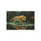 Buy Stunning Tiger Mirror Lake Art