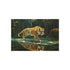 Buy Stunning Tiger Mirror Lake Art