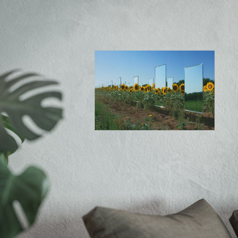 Buy Sunflower Field Mirrors Poster