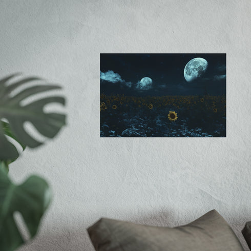 Buy Sunflower Field Poster Online