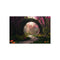 Buy Timeless Portal Garden Poster