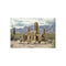 Buy Unique Ancient Ruins Cactus Poster