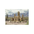 Buy Unique Ancient Ruins Cactus Poster