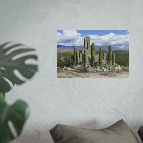 Buy Unique Cactus Ruins Poster