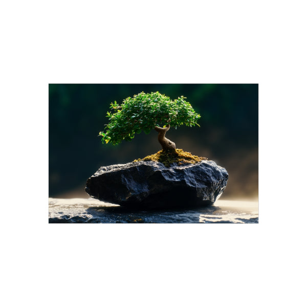 Buy Unique Meteorite Bonsai Kit