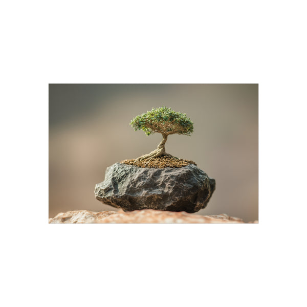 Buy Unique Meteorite Bonsai Poster