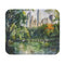 Central Park Paradise Mouse Pad