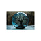 Cracked Glass Sphere: Tree of Life