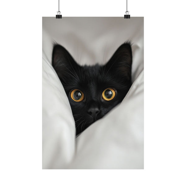 "Curious Cat: Under the Hat"