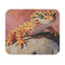 Cute Leopard Gecko Mouse Pad