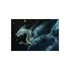 "Dragon Constellation Mysteries Unveiled Space"