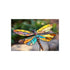 Dragonfly Stained Glass Wings Art