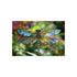 Dragonfly with Stained Glass Wings