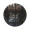 "Dusk Cypress Swamp Rug"