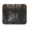 Dusky Cypress Swamp Mouse Pad