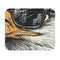 Eagle Vision Mouse Pad