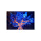 "Electric Tree Rooted Sky Poster"