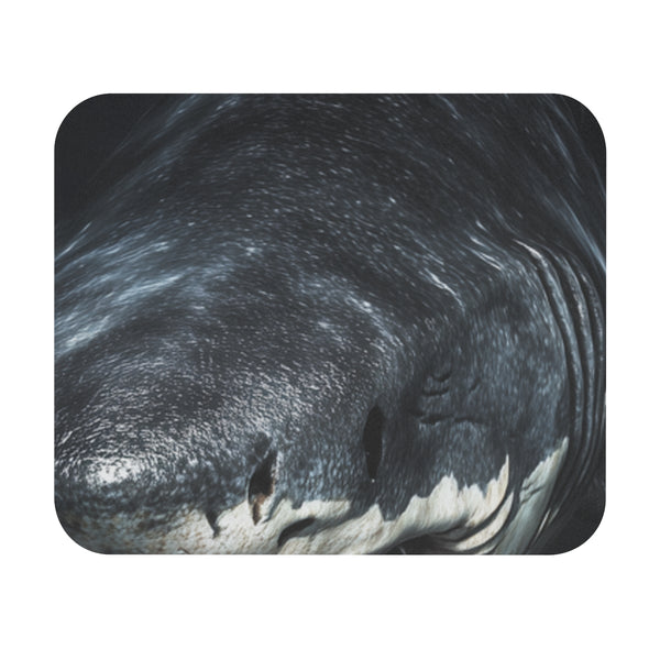 Enchanted Prehistoric Ocean Mouse Pad