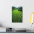 Tranquil green rice paddy field canvas art for home decor.