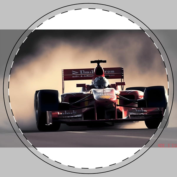 F1 Racing Thrill Coaster