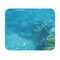 Fiji Dive Paradise Mouse Pad
