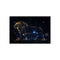 Firefly Constellation Forming Lion Shape.