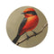"Flycatcher Bird Round Rug: Nature-inspired Décor"