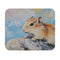 Gerbil Love Mouse Pad
