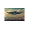 "Giant Whale Soars Over City"