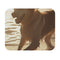 Golden Retriever Beach Sunset Mouse Pad