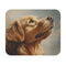 Golden Retriever Paws Mouse Pad