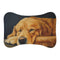 Golden Retriever Pup Mat