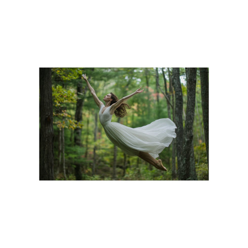 "Graceful Ballet Dancer Spinning Poster"