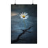 "Graceful White Daisy in Cracks"