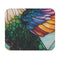 Hummingbird Haven Mouse Pad